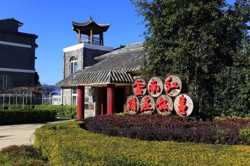 弥勒篇 云南红酒庄,醉在美酒与美景当中